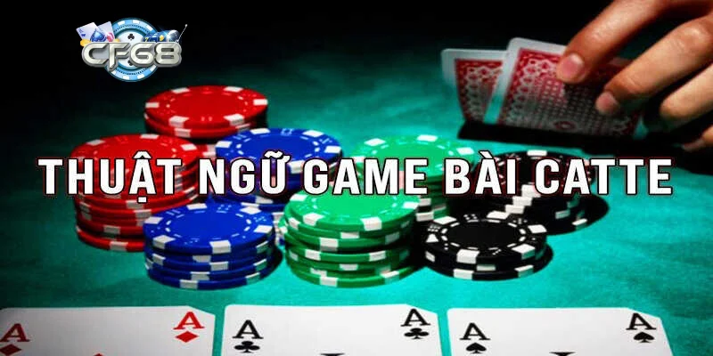 Quy tắc vận hành và luật chơi game bài cát tê chi tiết cho người mới bắt đầu
