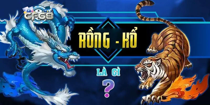 Vì sao sảnh rồng hổ online tại CF68 lại hút khách đến vậy?
