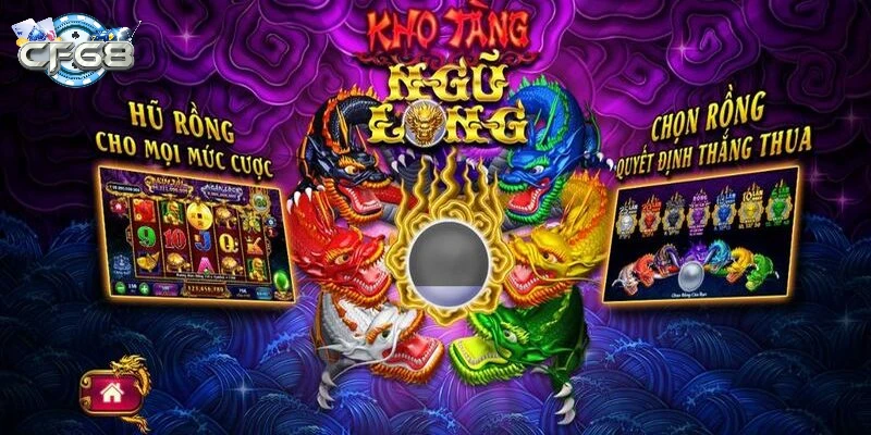 Tổng Quan về Kho Tàng Ngũ Long