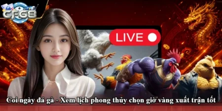 Coi ngày đá gà - Xem lịch phong thủy chọn giờ vàng xuất trận tốt