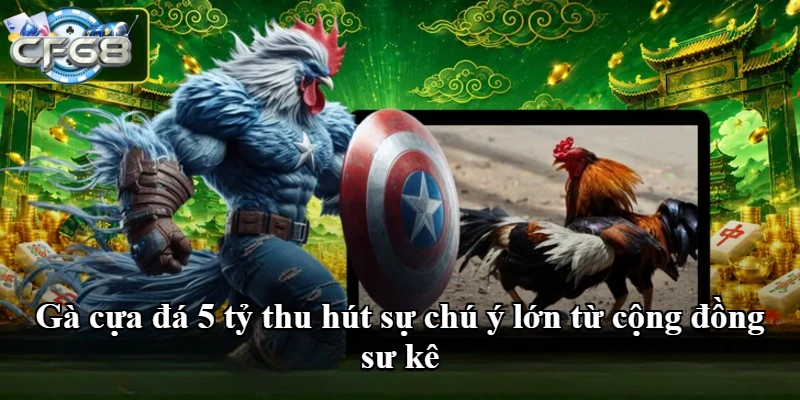 Gà cựa đá 5 tỷ thu hút sự chú ý lớn từ cộng đồng sư kê
