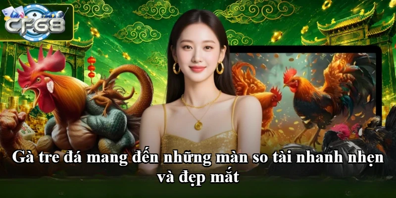 Gà tre đá mang đến những màn so tài nhanh nhẹn và đẹp mắt