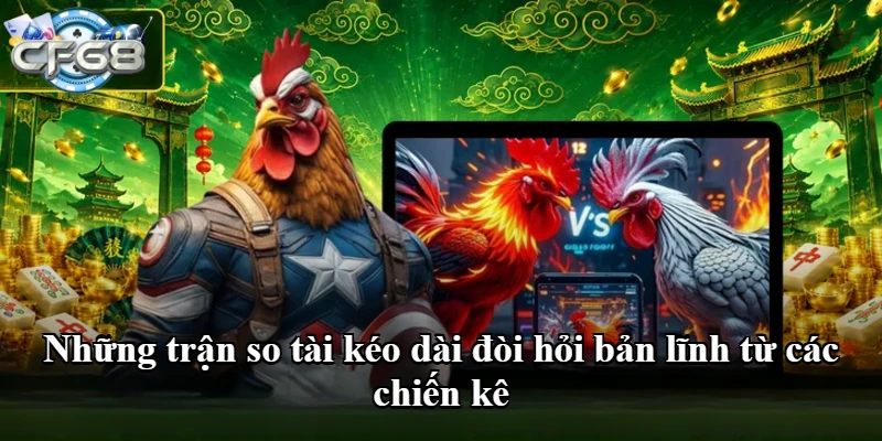 Những trận so tài kéo dài đòi hỏi bản lĩnh từ các chiến kê