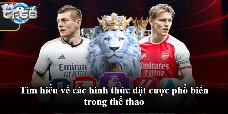 Tìm hiểu về các hình thức đặt cược phổ biến trong thể thao