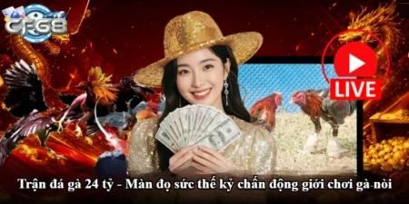 Trận đá gà 24 tỷ - Màn đọ sức thế kỷ chấn động giới chơi gà nòi